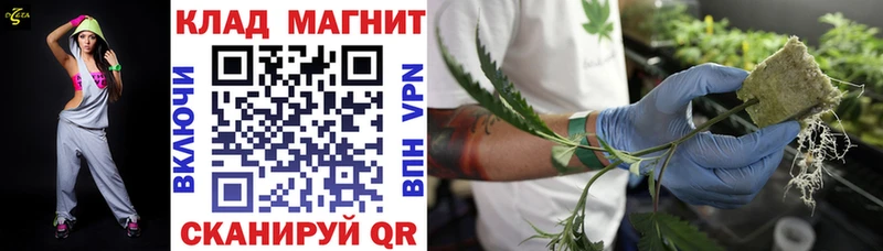  COCAIN Гай