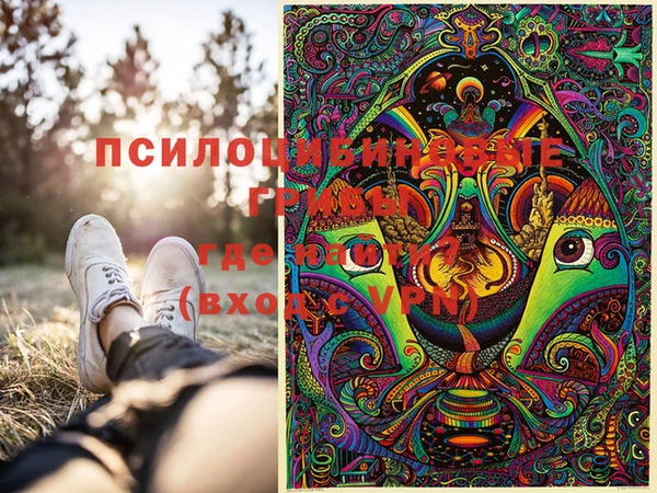 таблы Белокуриха