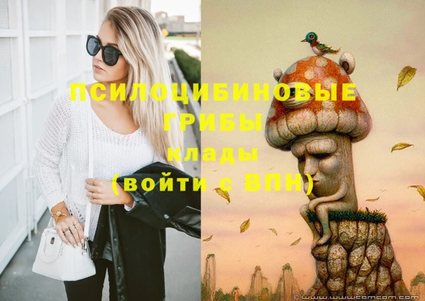 альфа пвп Беломорск