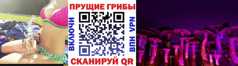 Псилоцибиновые грибы MAGIC MUSHROOMS  Гай 