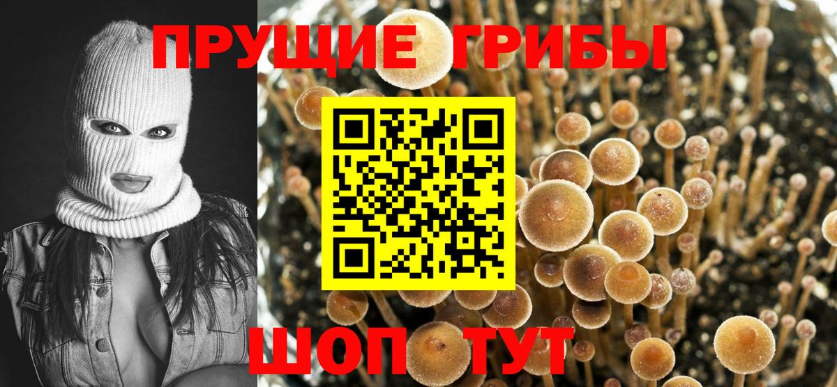 Псилоцибиновые грибы MAGIC MUSHROOMS Гай