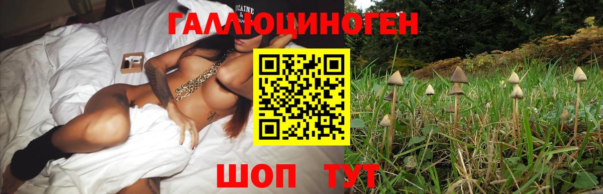 Гай  Галлюциногенные грибы ЛСД  Вход с VPN  Галлюциногенные грибы мицелий 